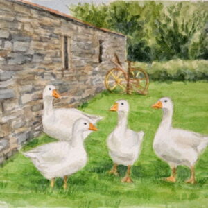 Geese Watercolour