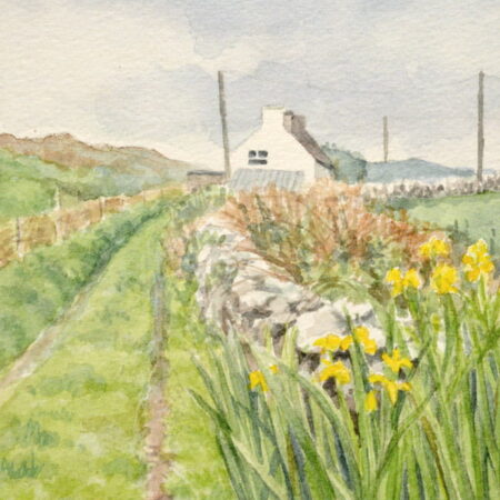 End of the road, Sherkin