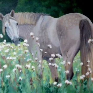 thistle field