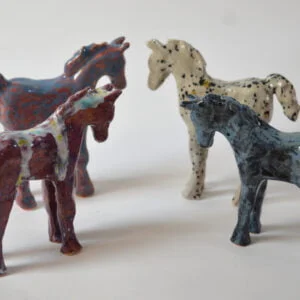 foal
