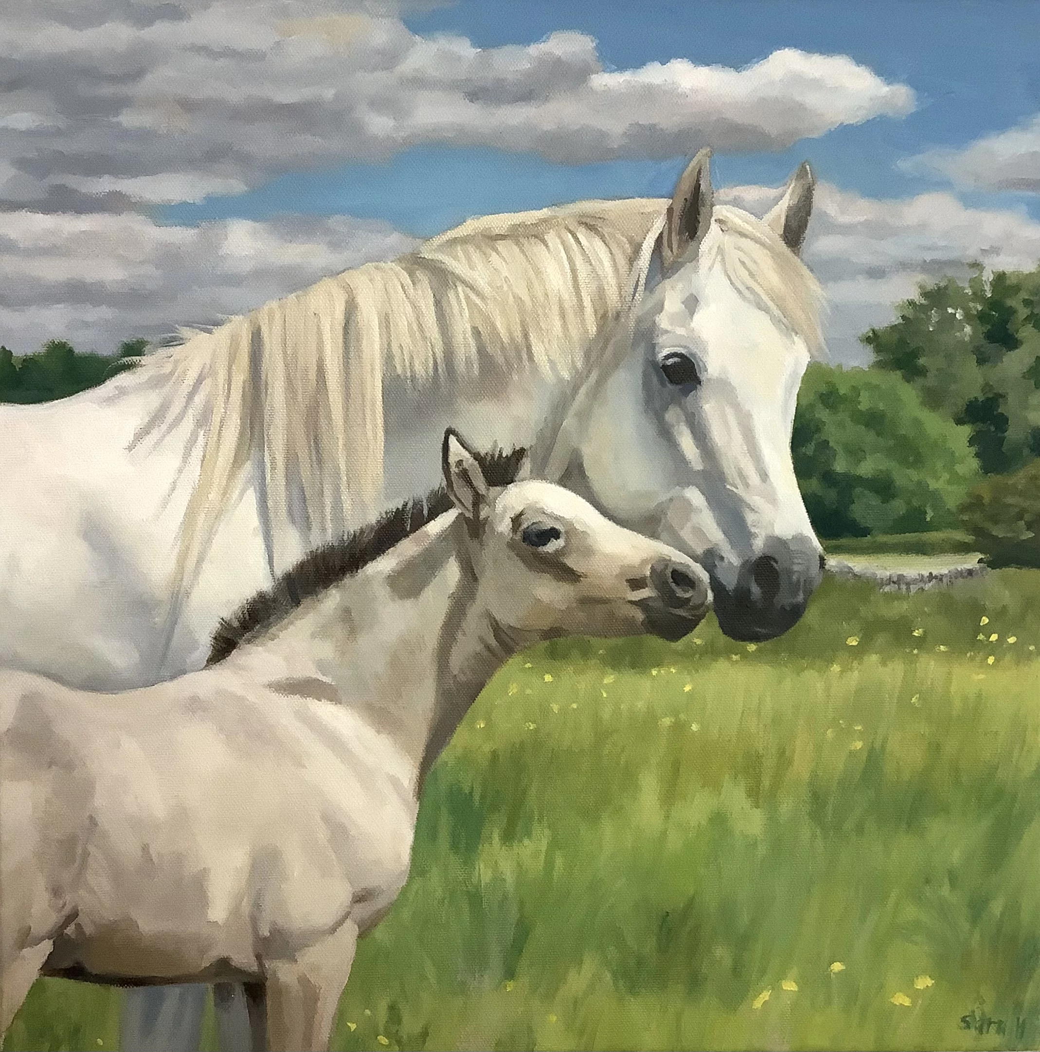 equestrian and landscape art by Sara Hodson