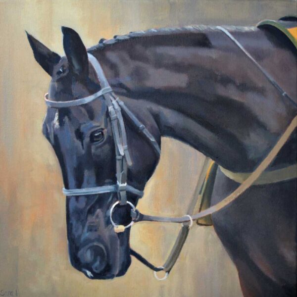Galopin Des Champs