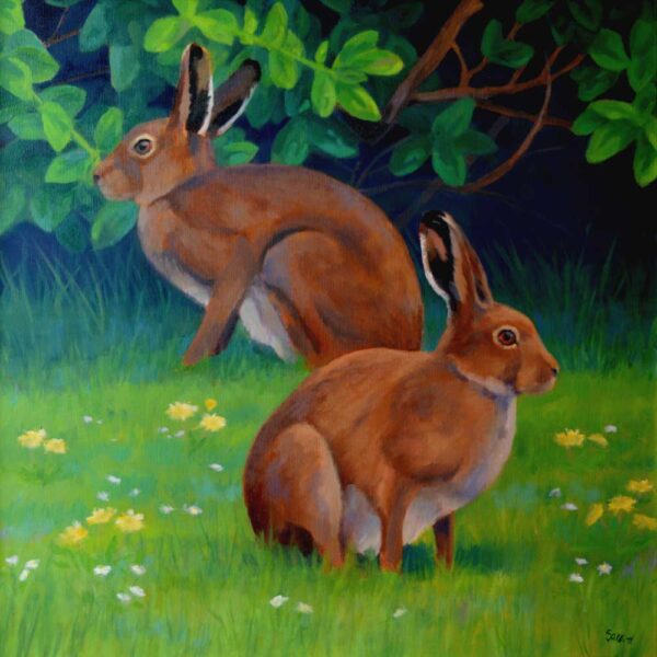 irish hares