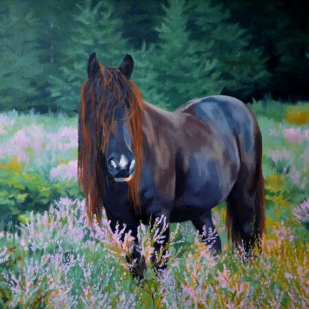 in the heather field