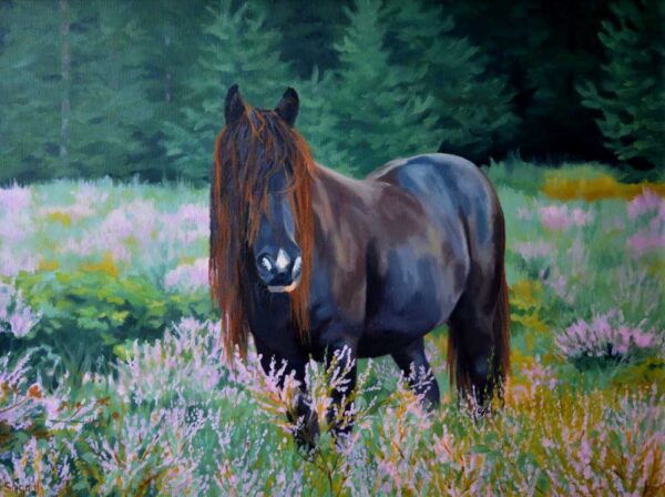 in the heather field