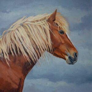 kerry bog pony